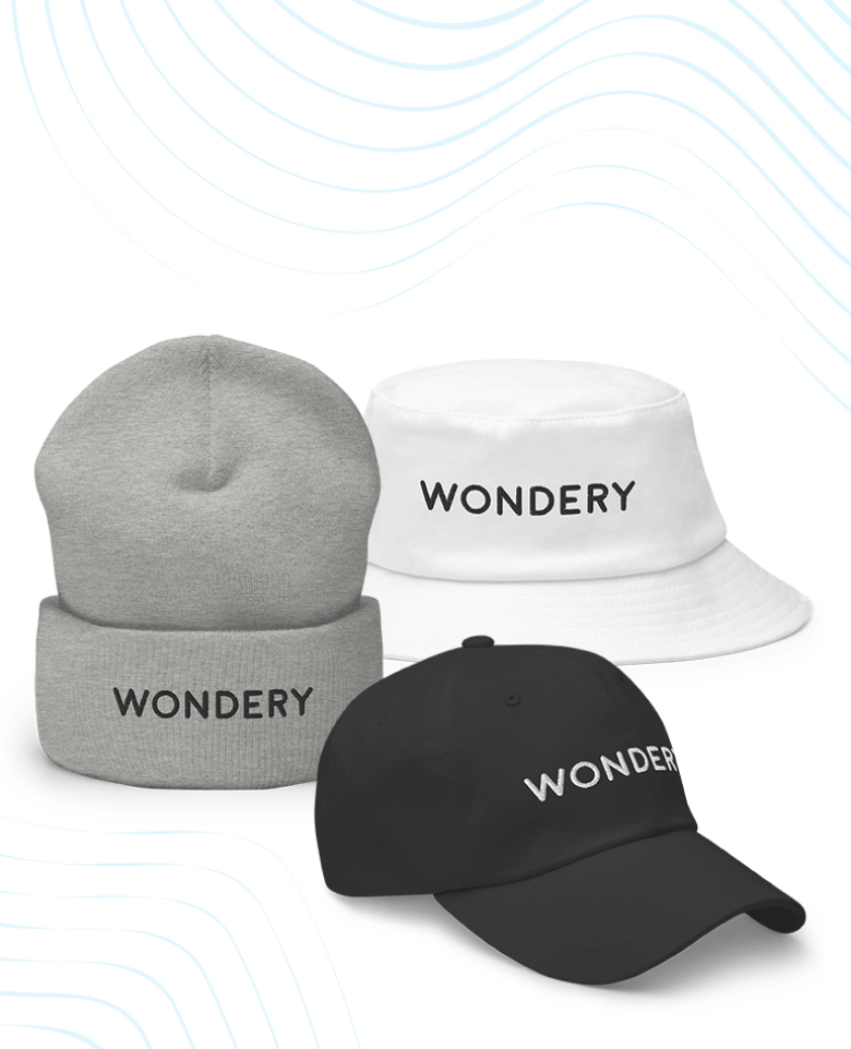 Link to /collections/wondery-brand/hats