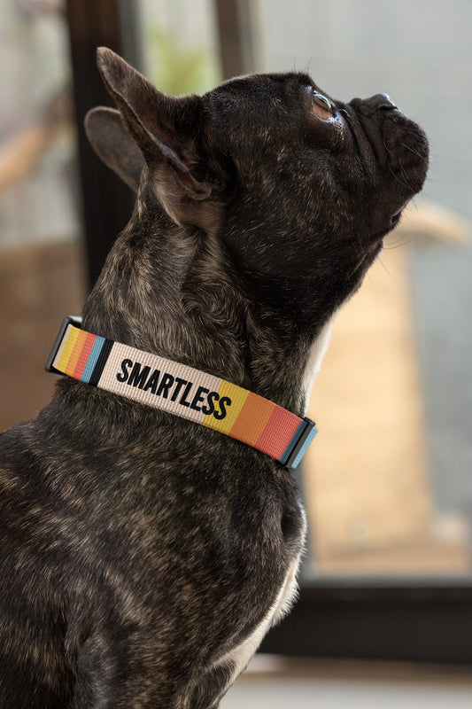 SmartLess Pet Collar-2