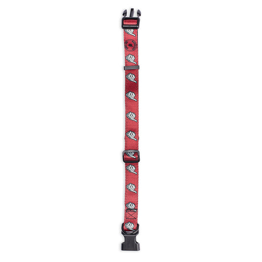 MrBallen Maggie's Collection Pet Collar-5