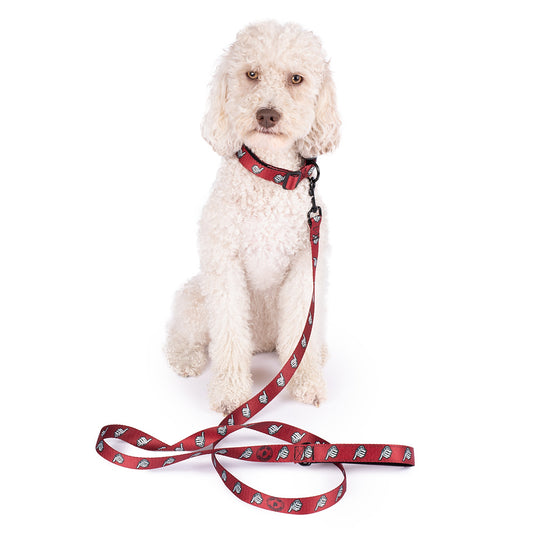 MrBallen Maggie's Collection Pet Leash-1