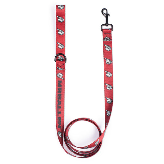 MrBallen Maggie's Collection Pet Leash-3