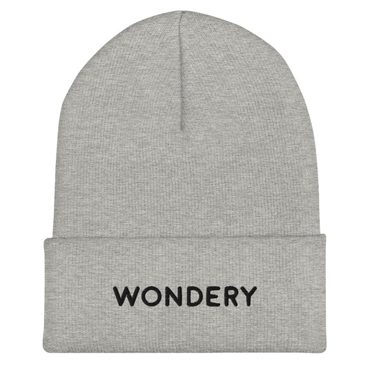 Wondery Logo Cuffed Beanie-3