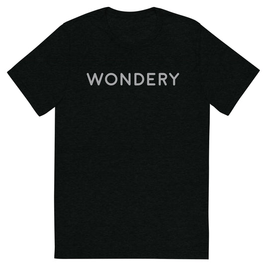 Wondery Logo Adult Tri-Blend T-Shirt-2
